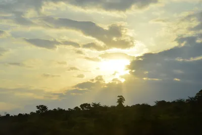 DSC_5397 (Large).JPG